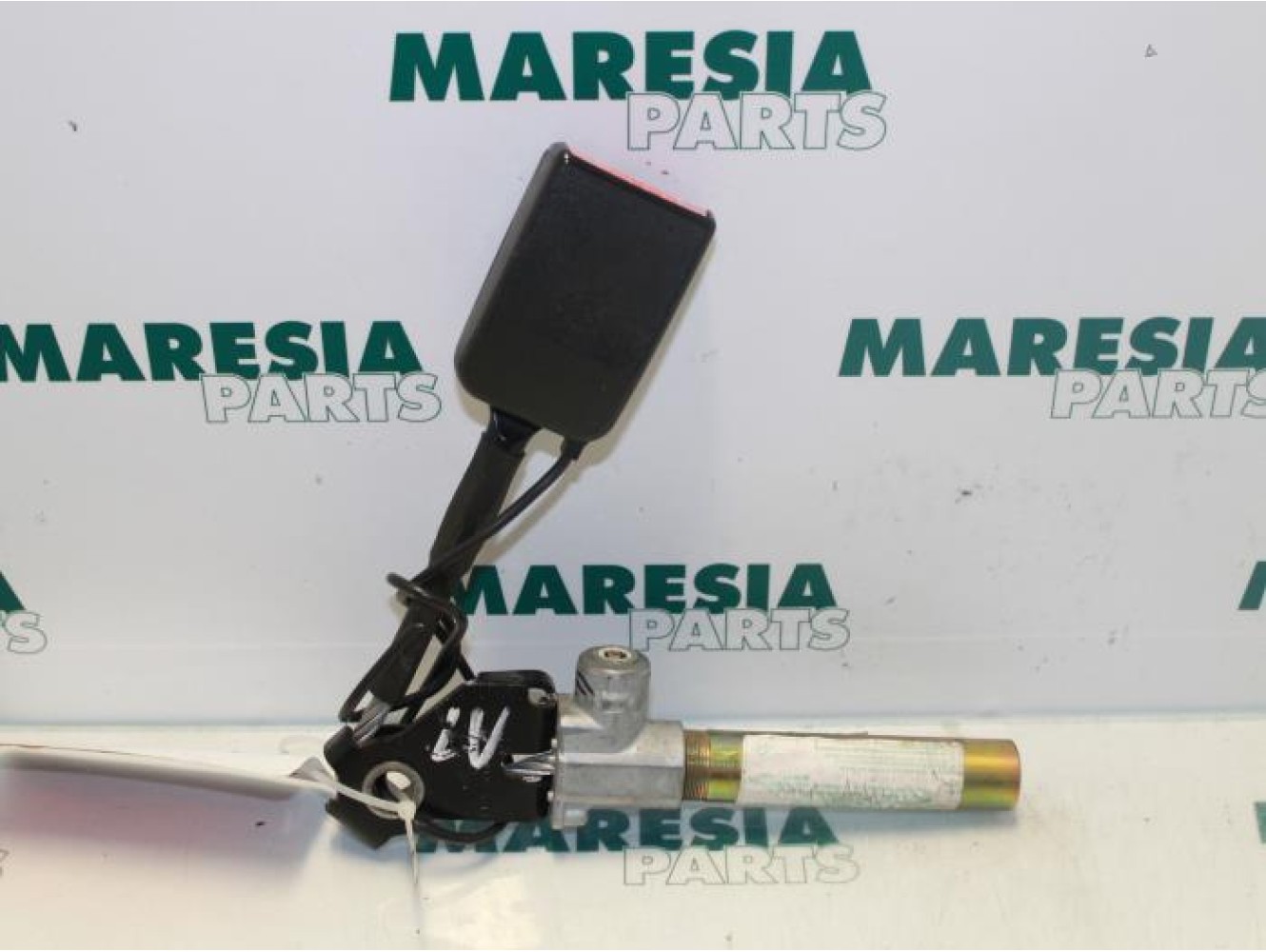 Renault - Megane Scenic - Gurtsrammer links