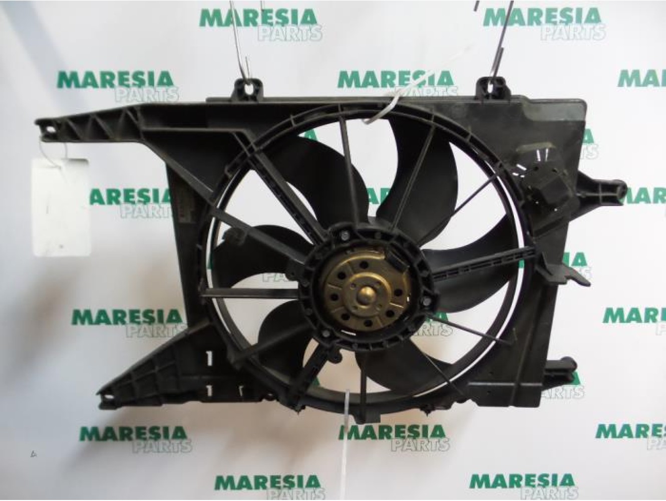 Renault - Megane Scenic - Kühlgebläse Motor