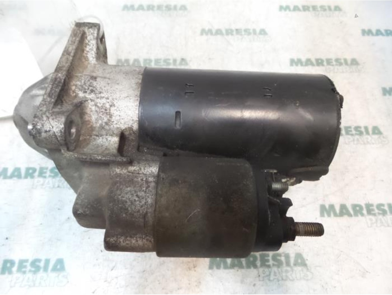 Fiat - Multipla - Starter