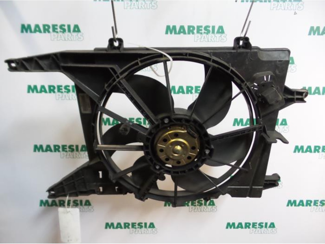 Renault - Megane Scenic - Kühlgebläse Motor
