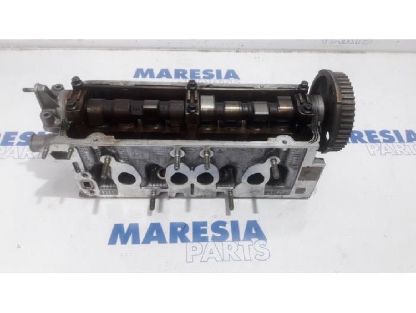 Fiat - Punto - Cylinder head