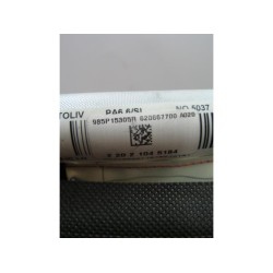 Renault - Megane - Airbag hemel links