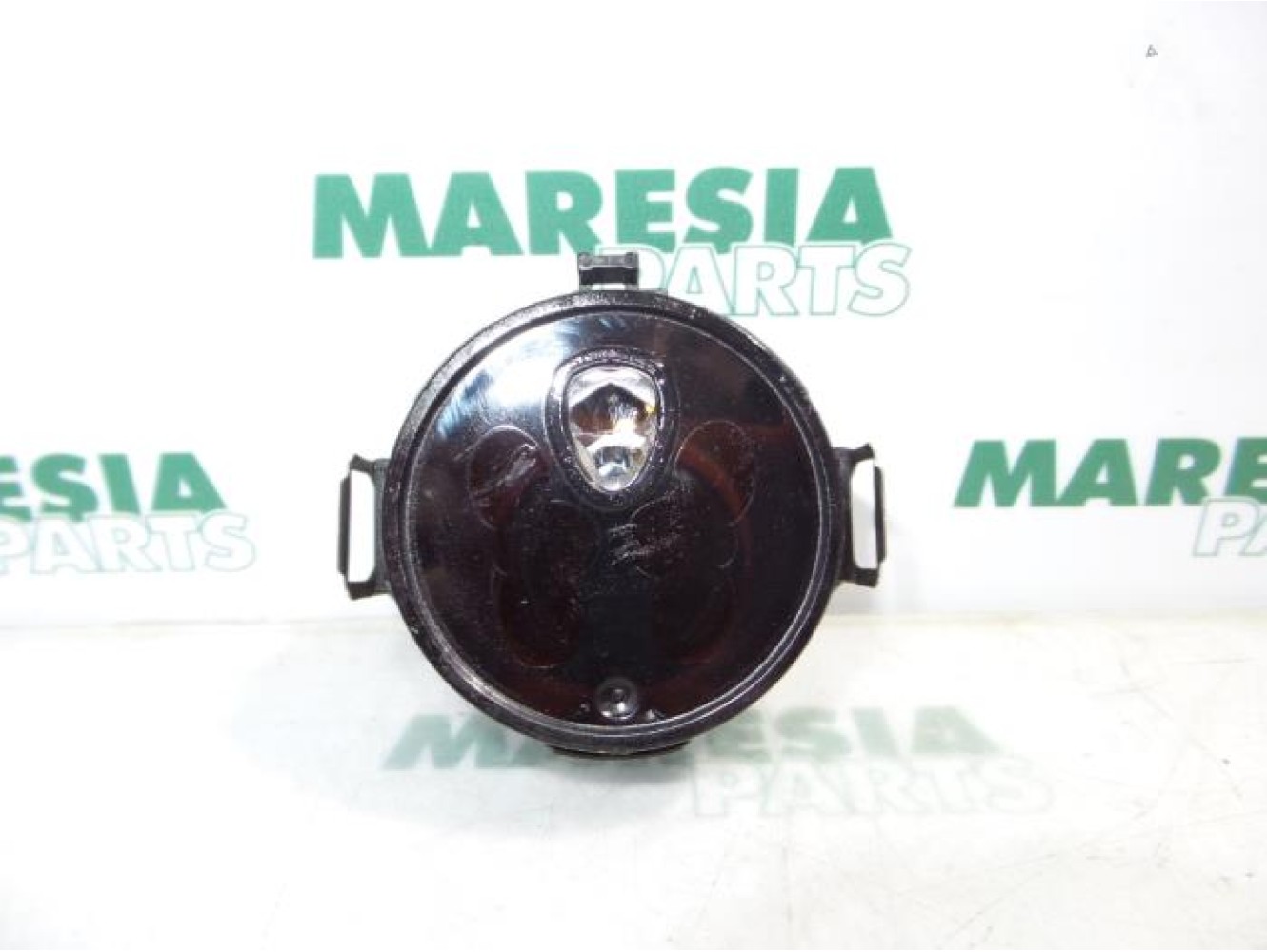Renault - Megane Scenic - Regensensor