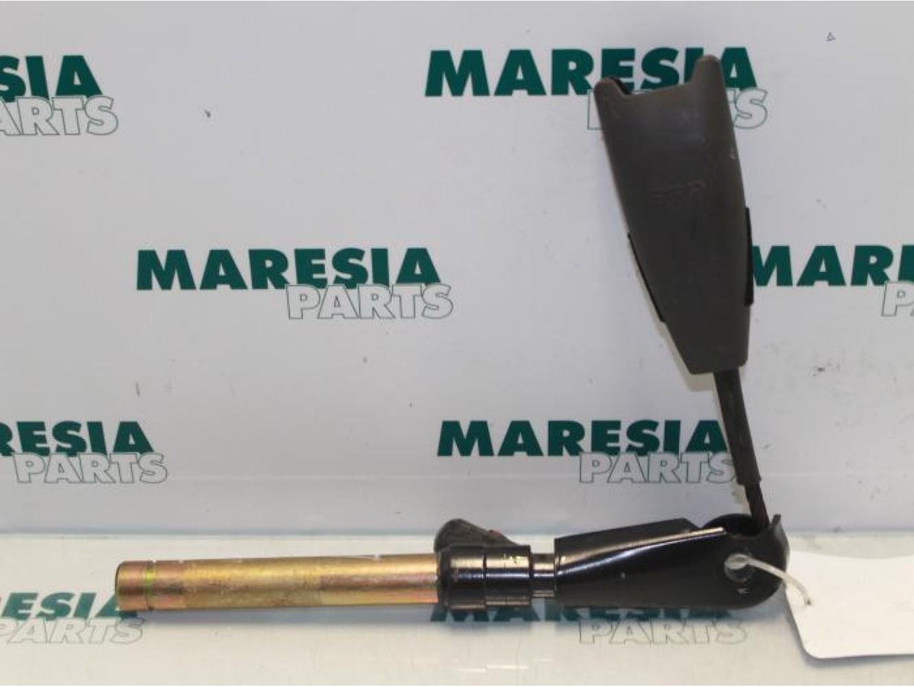 Renault - Laguna - Gurtsrammer links