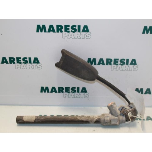 Renault - Megane Scenic - Gurtsrammer links