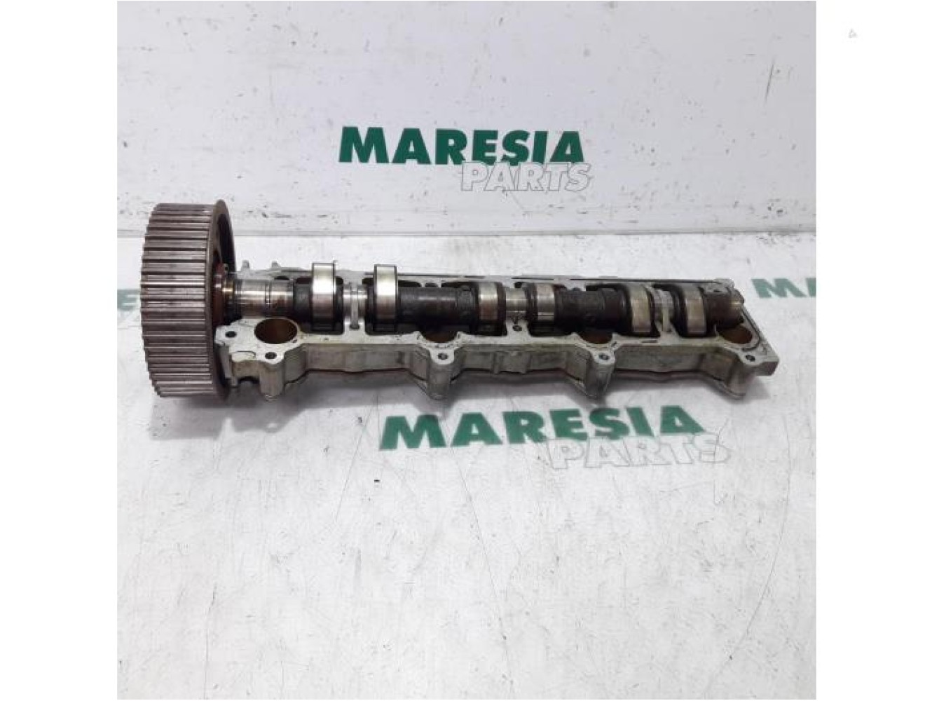 Peugeot - 406 - Camshaft
