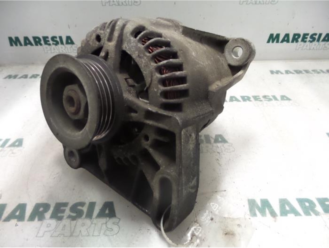 Fiat - Punto - Dynamo