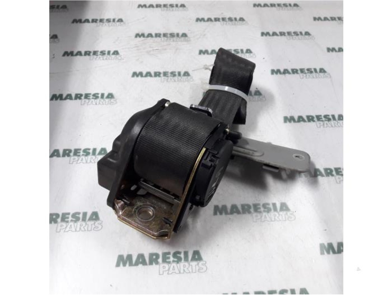 Alfa Romeo - 166 - Sicherheitsgurt links hinten