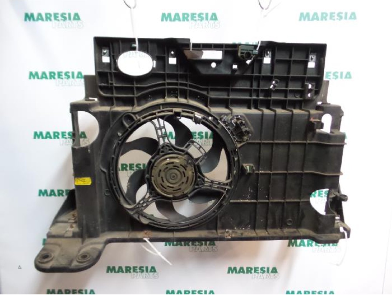 Fiat - Stilo - Koelvin Motor