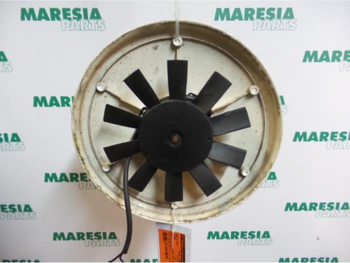 Citroen - Jumpy - Kühlgebläse Motor