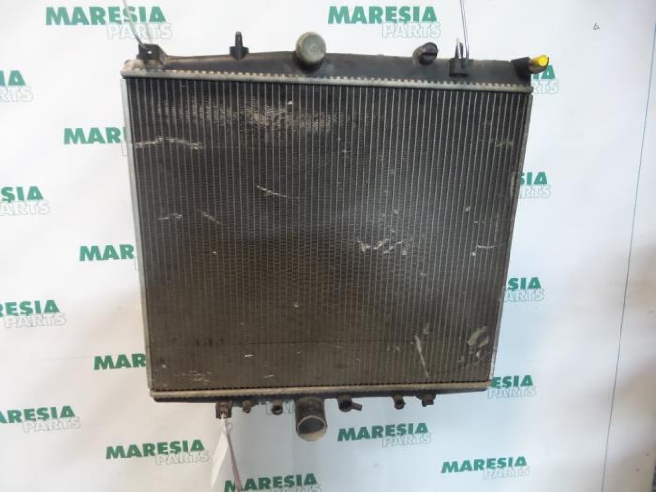Lancia - Phedra - Radiator