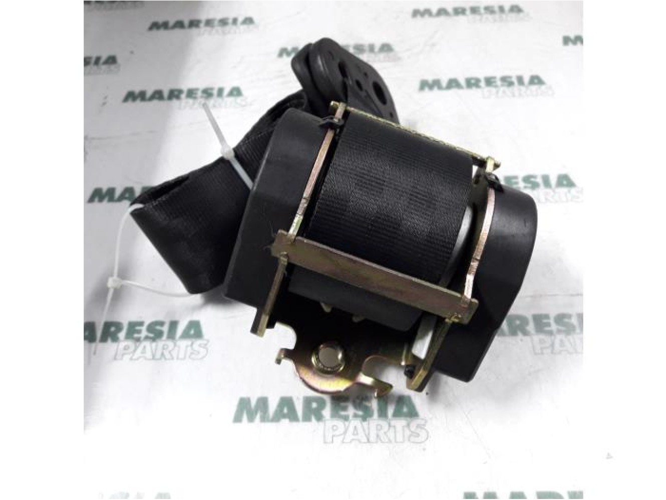 Lancia - Phedra - Sicherheitsgurt links hinten