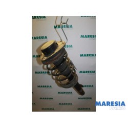 Peugeot - 206 - Front shock absorber rod, left