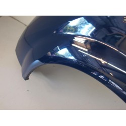 Renault - Megane Scenic - Kotflügel links vorne
