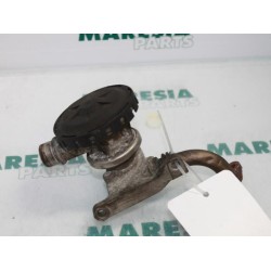 Citroen - C3 - EGR Klep