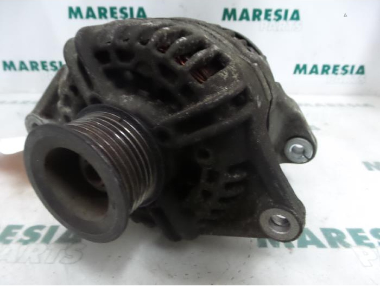 Fiat - Ducato - Dynamo
