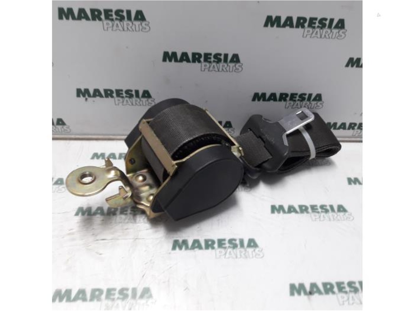 Renault - Megane Scenic - Sicherheitsgurt links vorne