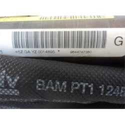 Citroen - C6 - Airbag Himmel links