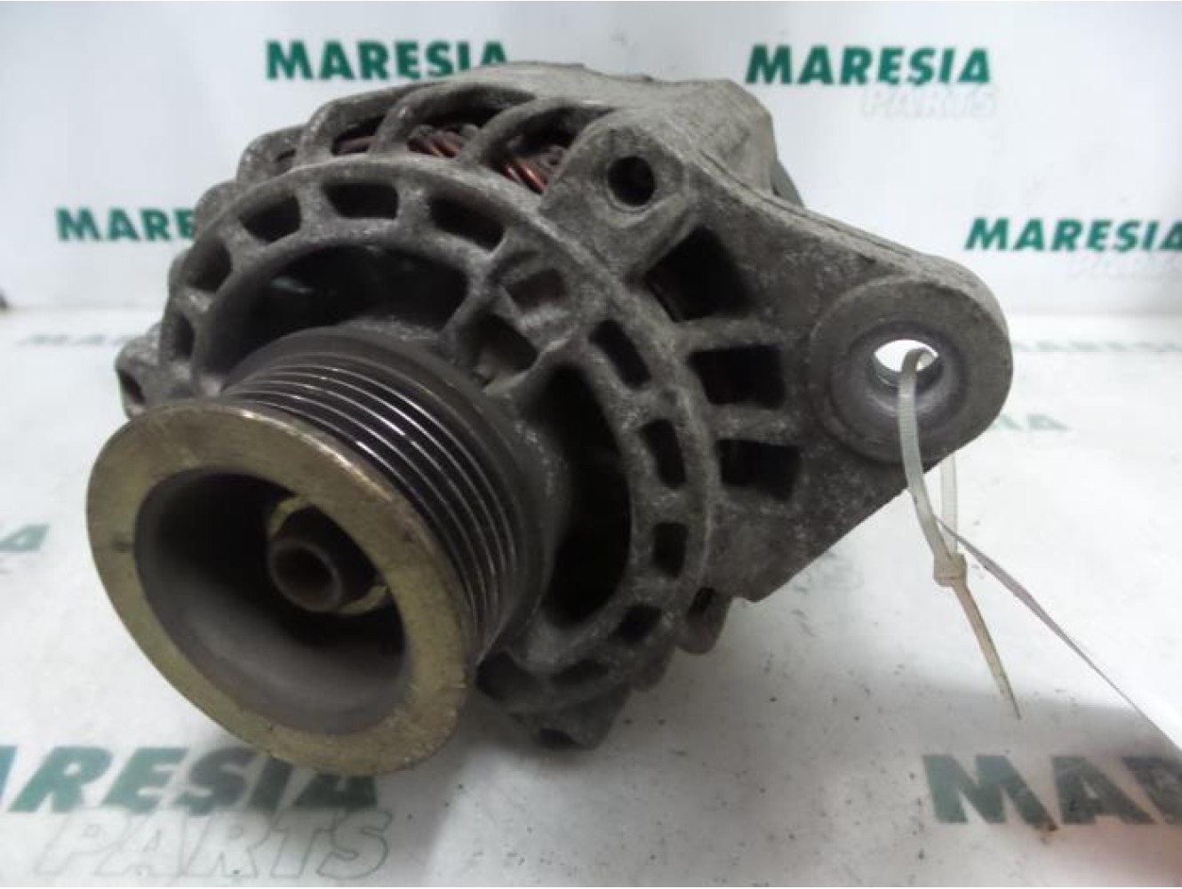 Fiat - Stilo - Dynamo