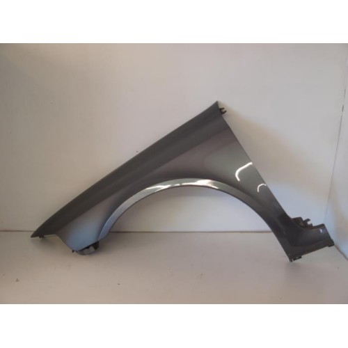 Renault - Laguna - Scherm links-voor