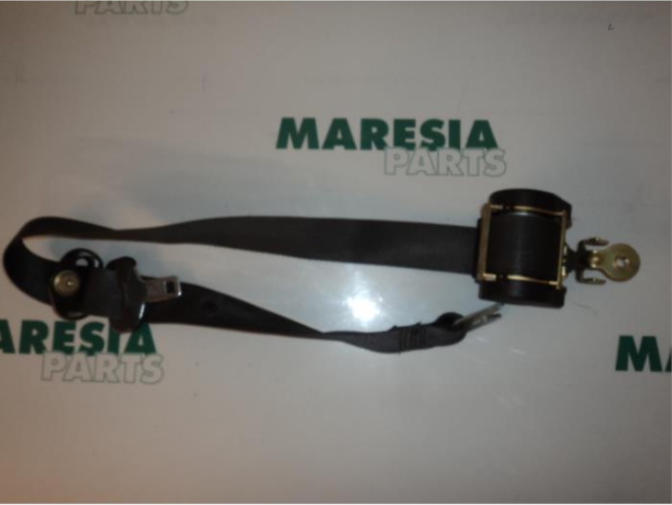 Renault - Megane Scenic - Sicherheitsgurt links vorne