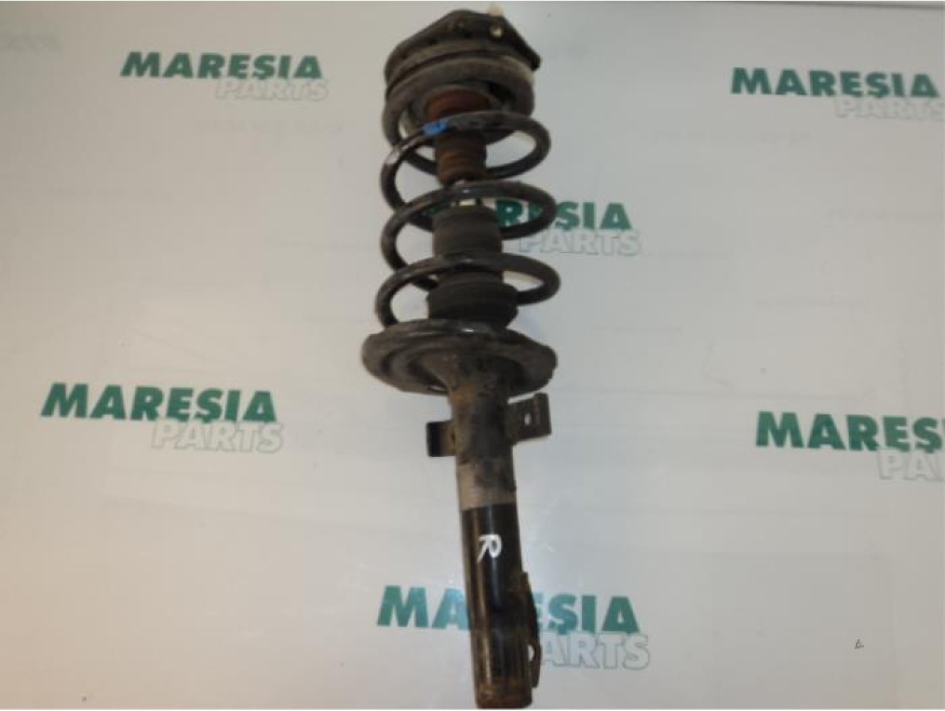 Renault - Megane Scenic - Front shock absorber rod, right