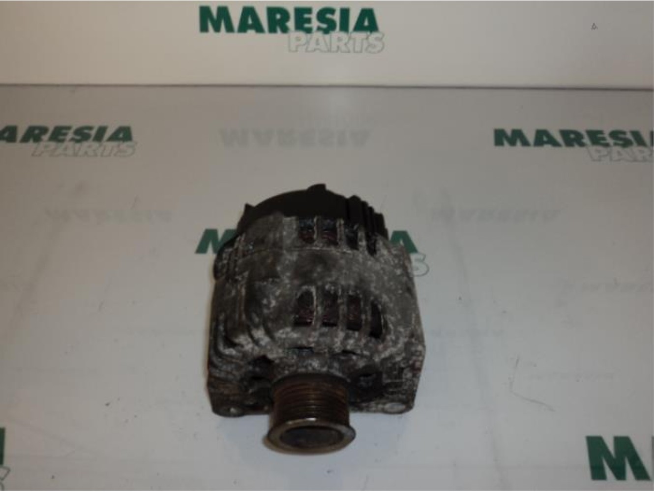 Renault - Megane Scenic - Dynamo