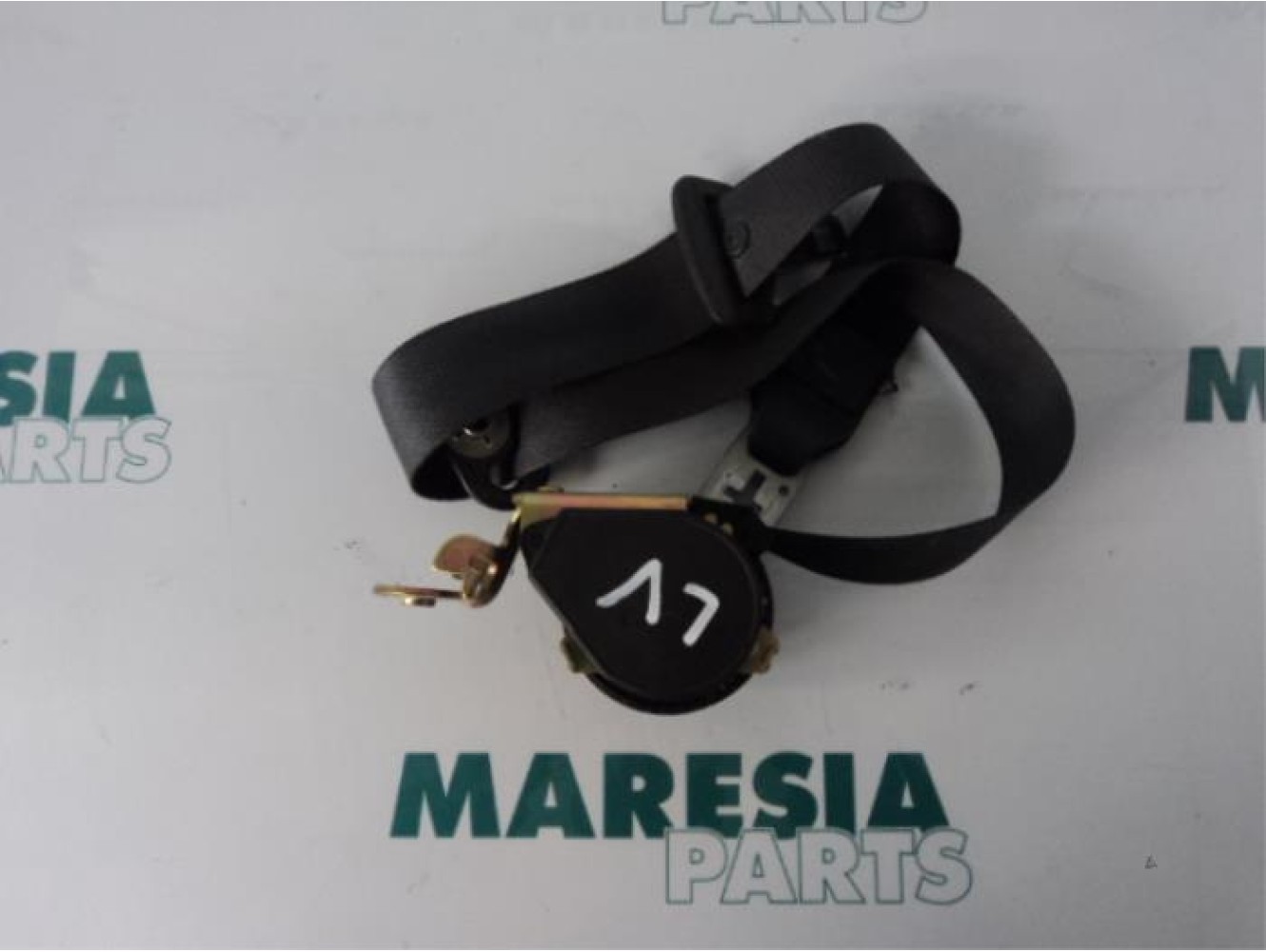 Renault - Megane Scenic - Sicherheitsgurt links vorne