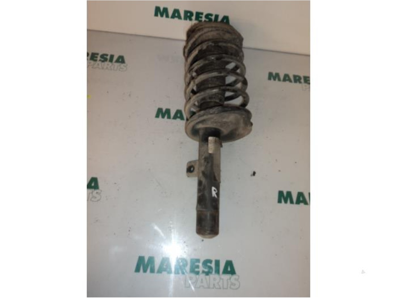 Citroen - Xsara - Front shock absorber rod, right