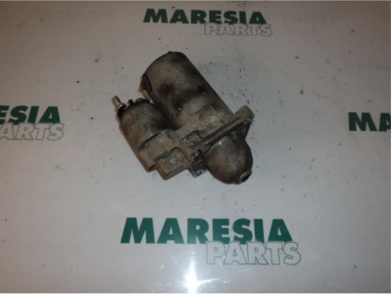 Fiat - Panda - Starter