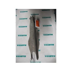 Fiat - Croma - Querlenker links hinten