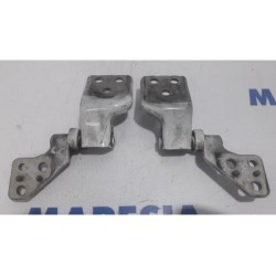 Citroen - Berlingo - Tailgate hinge