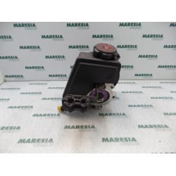 Peugeot - 206 - Lenkkraftverstärker Pumpe