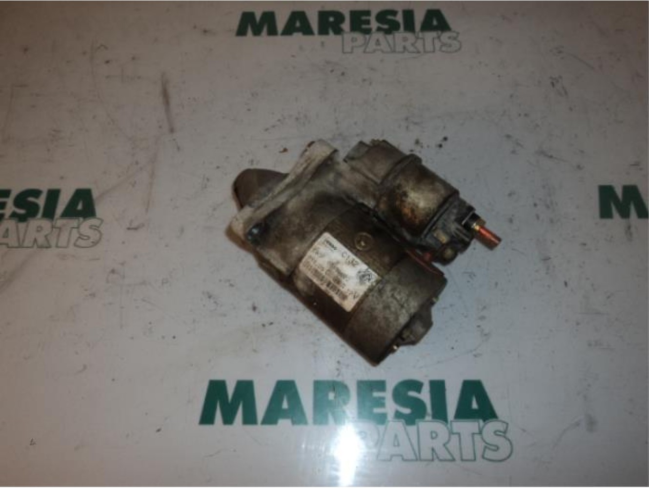 Fiat - Panda - Starter