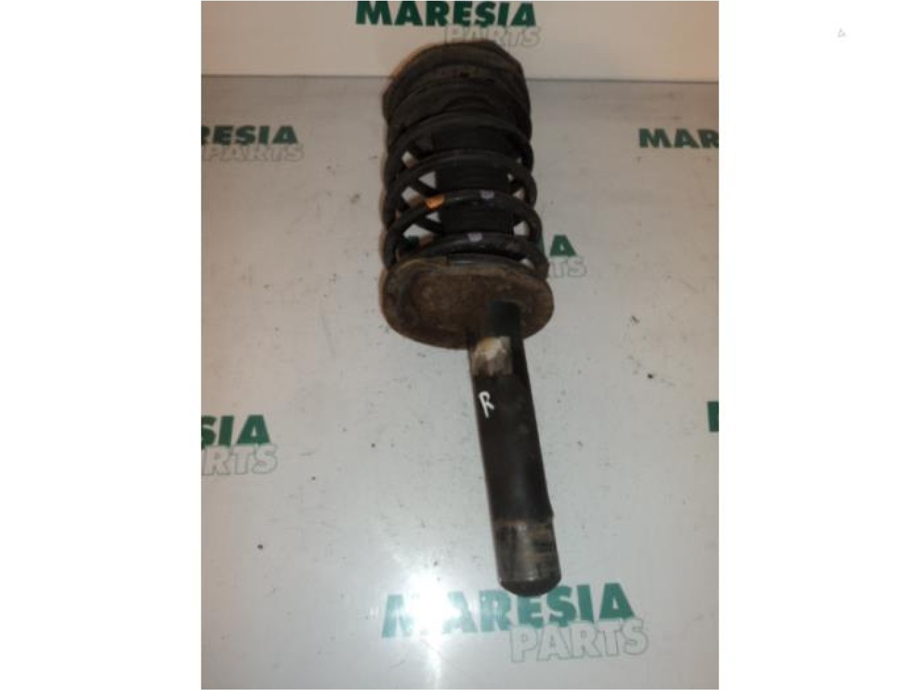 Citroen - Xsara - Front shock absorber rod, right