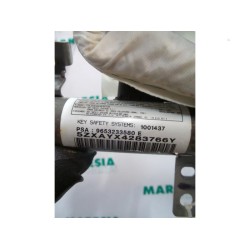 Peugeot - 307 - Airbag Himmel links