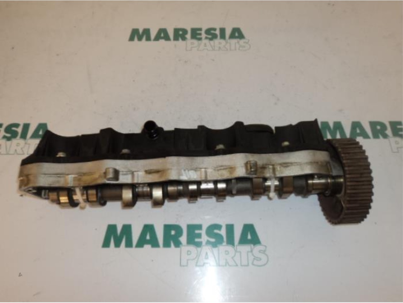 Citroen - Xsara - Camshaft