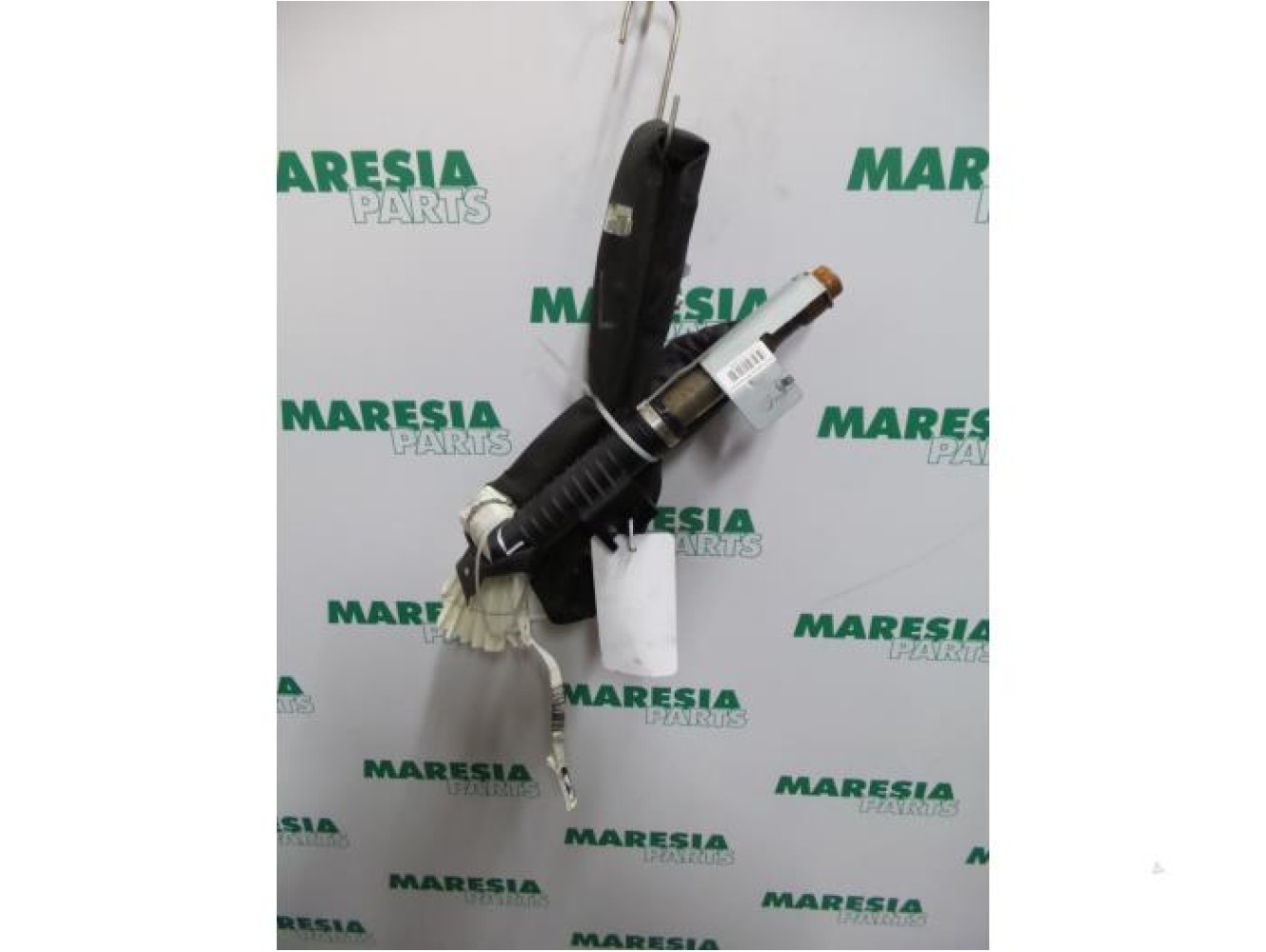 Renault - Megane - Airbag hemel links