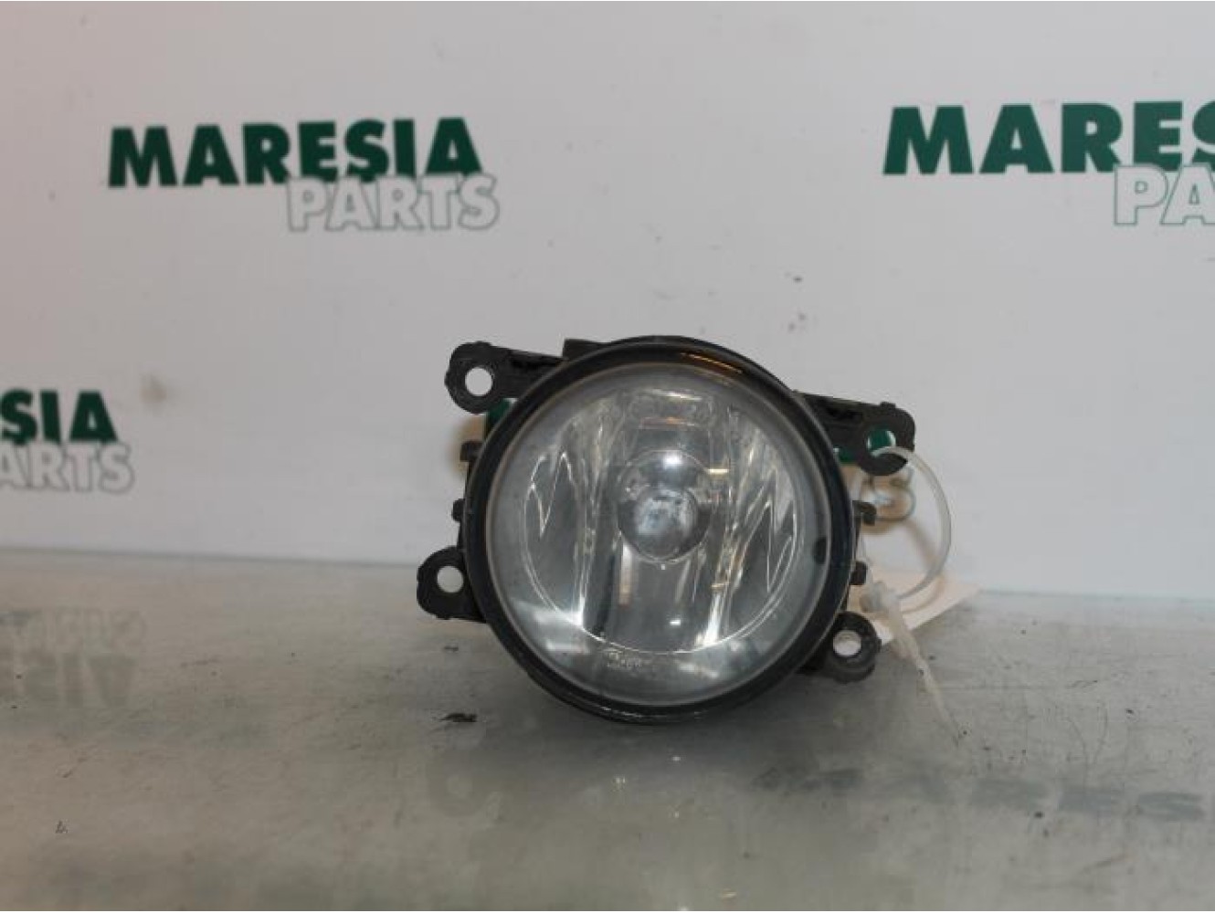 Renault - Megane Scenic - Fog light, front right