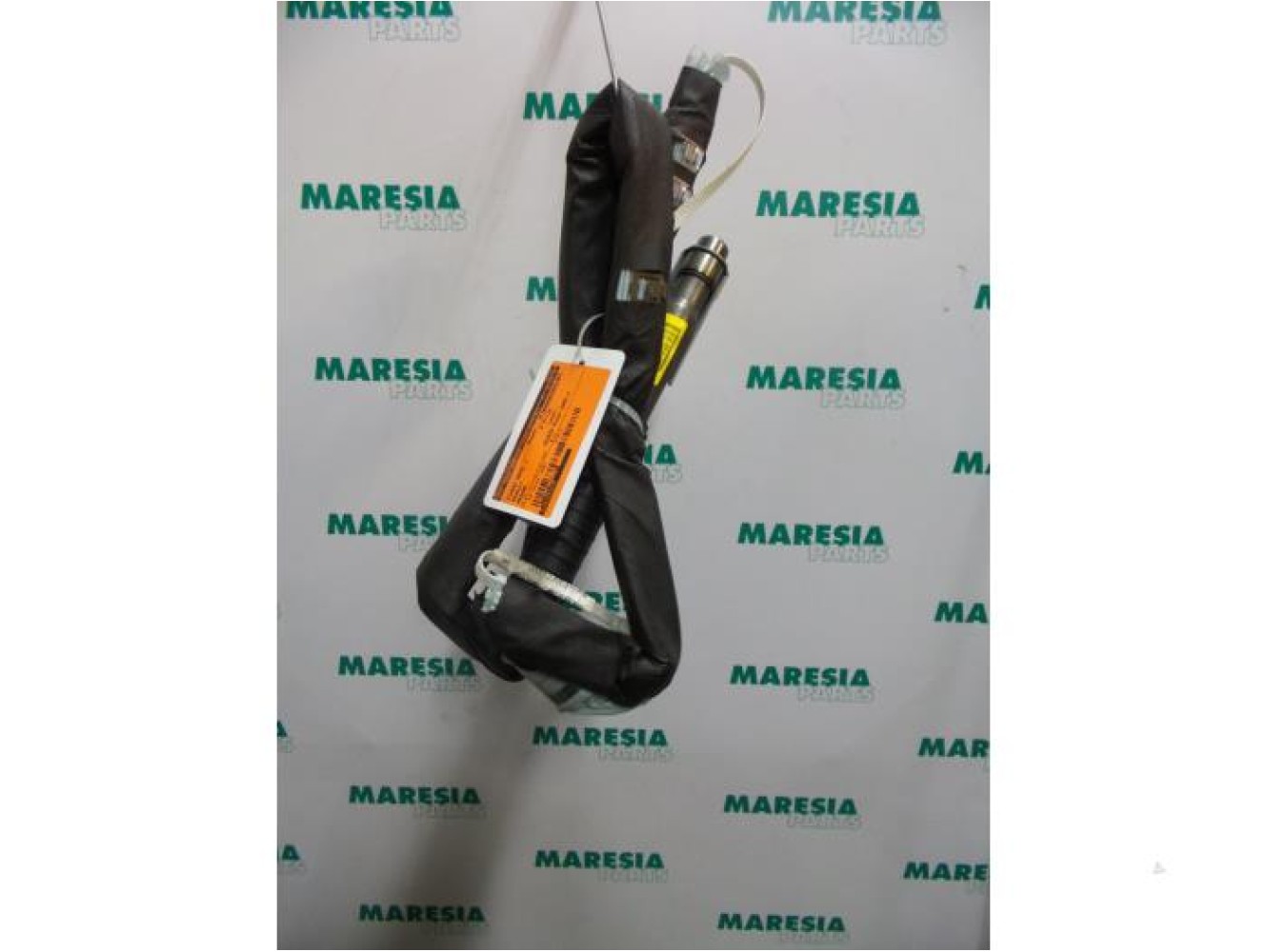Renault - Megane - Airbag hemel links