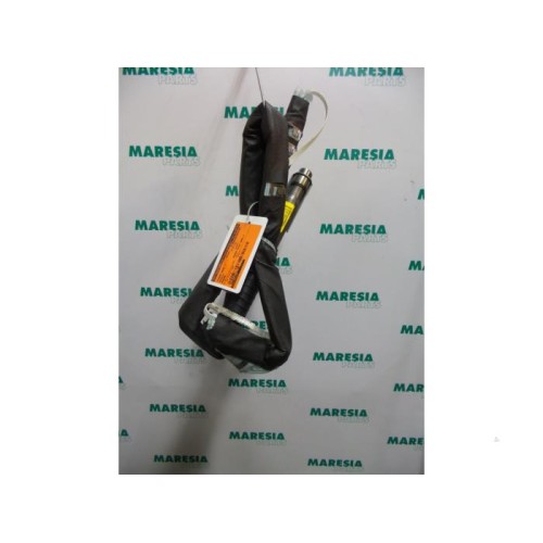 Renault - Megane - Airbag hemel links