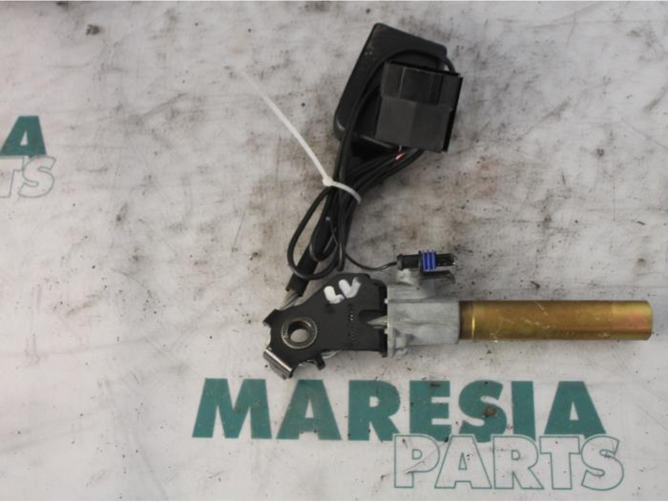 Renault - Megane Scenic - Gordelspanner links
