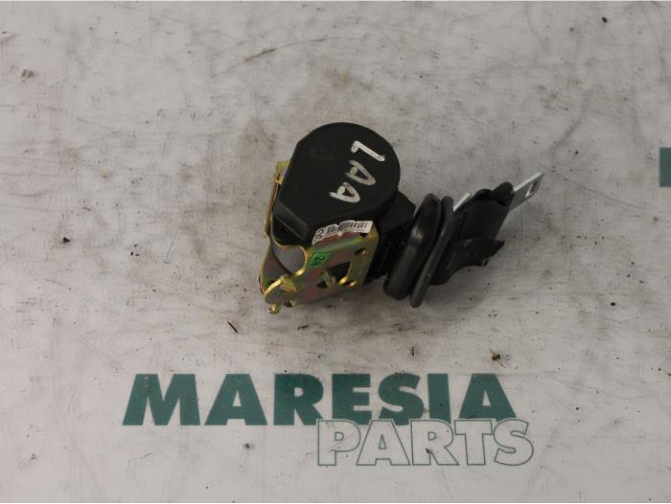 Renault - Megane Scenic - Sicherheitsgurt links hinten