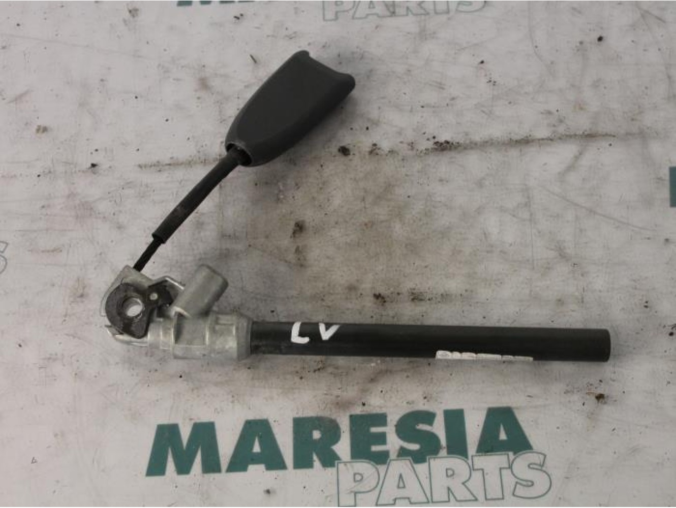 Renault - Megane Scenic - Gordelspanner links