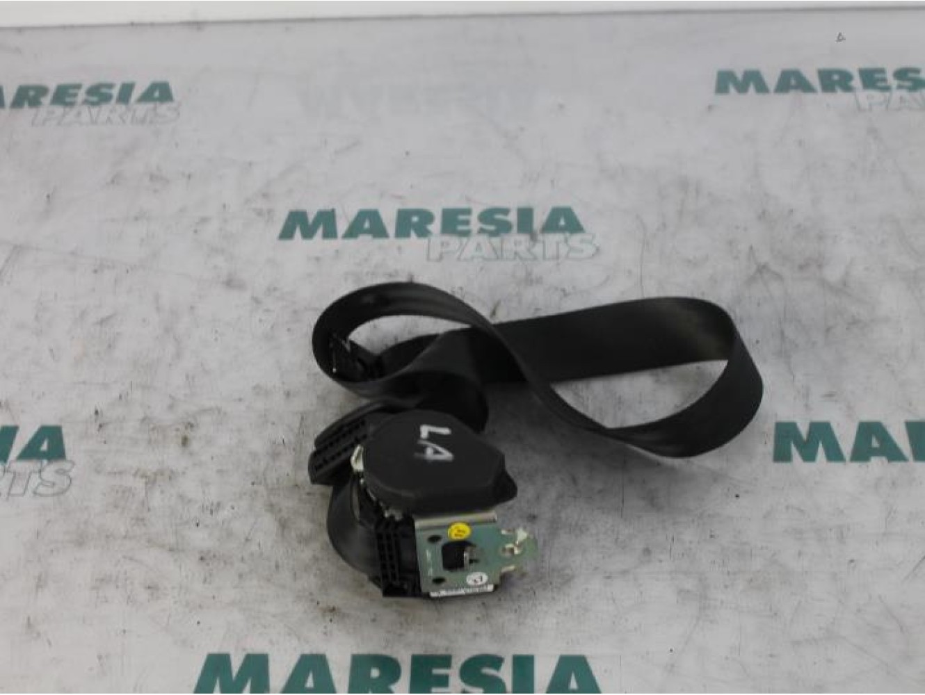 Renault - Megane Scenic - Sicherheitsgurt links hinten
