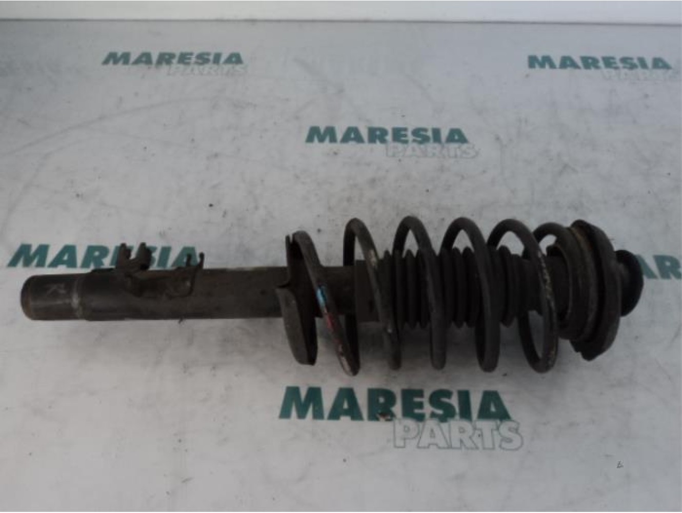 Citroen - Pluriel - Front shock absorber rod, right