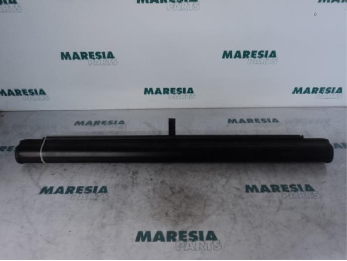 Citroen - C5 - Grille pare-chien