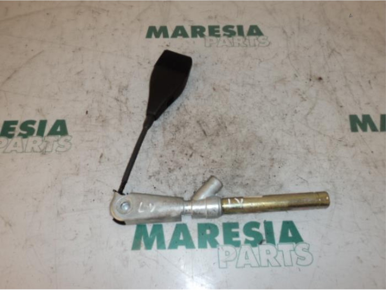 Renault - Megane Scenic - Gordelspanner links