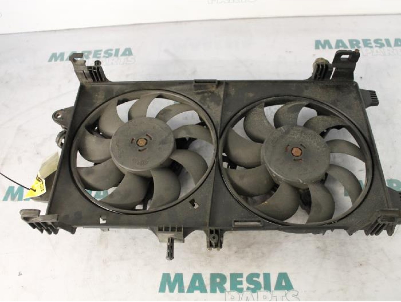 Fiat - Punto - Kühlgebläse Motor