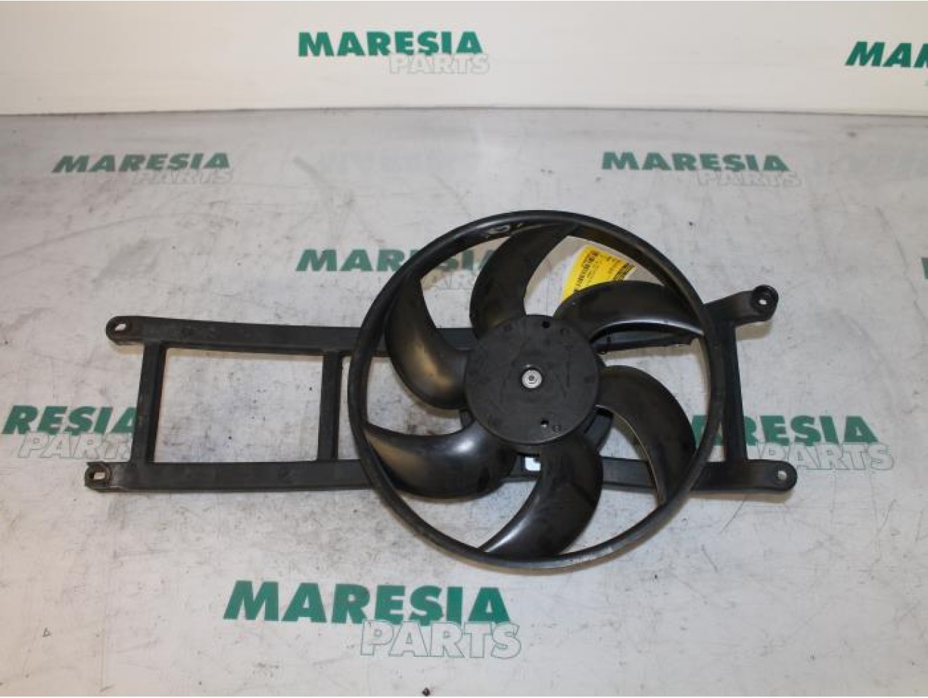 Fiat - Panda - Kühlgebläse Motor